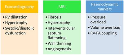 Right ventricular failure: Current strategies and future development